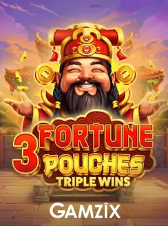3 Fortune Pouches